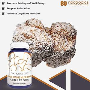 Lions Mane Mushroom Capsules | 8:1 Whole Fruiting Body Dual Extract | 500mg | 60 Count | Hericium erinaceus