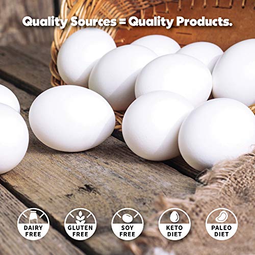 True Nutrition Egg White Protein Powder - 24g Non-GMO Egg Protein per Serving - Low Carb, Low Fat, Paleo, Keto, Gluten Free, Dairy Free, Soy Free - Chocolate Fudge Brownie - 5LB