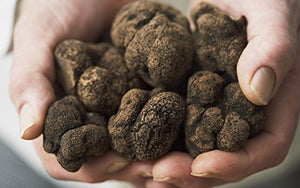 Spores Black Truffle Mushrooms Seeds Dried Mycelium Spawn for Planting Non GMO 100 Seeds