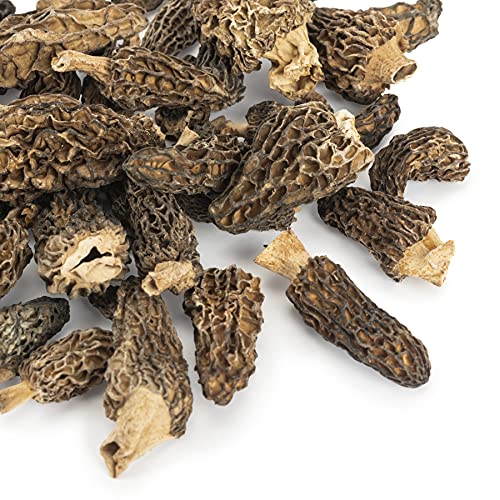 Slofoodgroup Dried Morel Mushrooms (Morchella Conica) Gourmet Morel Mushrooms (.25 lb/ 4 oz Morel Mushrooms)