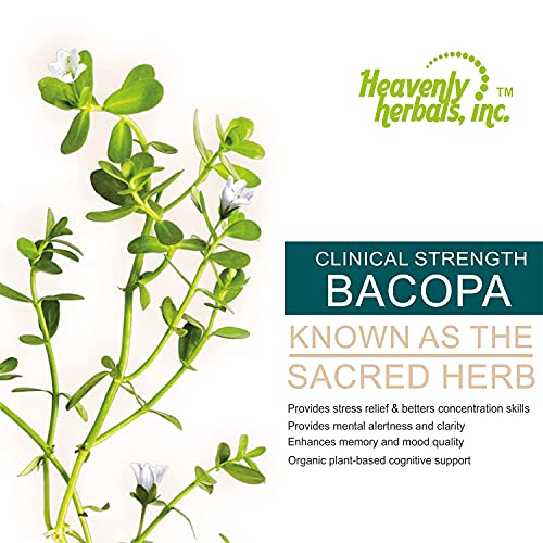 Improves Memory Concentration, Focus with Bacopa Drops - Bacopa Monnieri Extract | Brain Supplement Memory Supplement Cognitive Enhancement | Herbal Remedy 1.83 fl oz