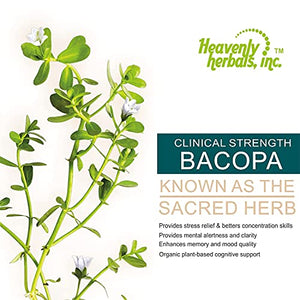 Improves Memory Concentration, Focus with Bacopa Drops - Bacopa Monnieri Extract | Brain Supplement Memory Supplement Cognitive Enhancement | Herbal Remedy 1.83 fl oz