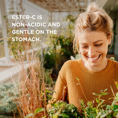 Solgar Ester-C Plus 500 mg Vitamin C (Ascorbate Complex), 250 Vegetable Capsules - Gentle & Non Acidic - Antioxidant & Immune Support - Non GMO, Vegan, Gluten Free, Kosher - 250 Servings