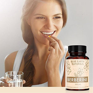 All Natural Berberine HCl 500mg Supplement - Magnesium Stearate Free - Blood Sugar Metabolism Support - Effective Immune System Booster - 120 Vcaps