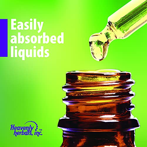 Improves Memory Concentration, Focus with Bacopa Drops - Bacopa Monnieri Extract | Brain Supplement Memory Supplement Cognitive Enhancement | Herbal Remedy 1.83 fl oz