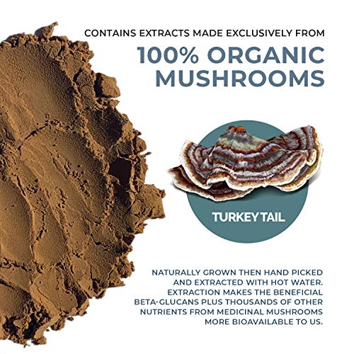 Real Mushrooms Turkey Tail Mushroom Supplements for Immune Support, Wellness, Vitality (45 Day Supply) Organic, Vegan, Non-GMO Turkey Tail Mushroom Powder