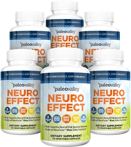 Paleovalley NeuroEffect - Neuro Mushroom Coffee Nutritional Supplement for Stress Relief, Focus, Memory and Energy Support - 6 Pack - 8 Full Spectrum Mushrooms and Whole Coffee Fruit Extracts