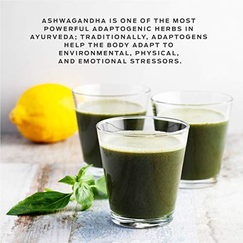 Vega One Organic Botanical Blends, Turmeric Coconut with Ashwangandha, Plant Based Protein Powder with Adaptogens- Vegan Certified, Vegetarian, Gluten Free, Dairy Free, Non GMO (10 Servings, 13.08 Oz)