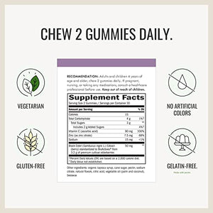 Nature’s Way Sambucus Elderberry Gummies, Immune Support Gummies*, Black Elderberry with Vitamin C and Zinc, 60 Gummies