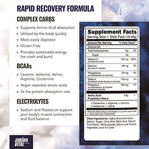 Amino VITAL Rapid Recovery- BCAAs Amino Acid Post Workout Powder Packets | Muscle Recovery Drink with Glutamine | Vegan, Gluten Free Supplement | 14 Single Serve BCAA Travel Packets | Blueberry Flavor