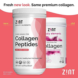 Zint Collagen Peptides Powder (16 Ounce): Anti Aging Hydrolyzed Collagen Protein Powder Beauty Supplement - Skin, Hair, Nails