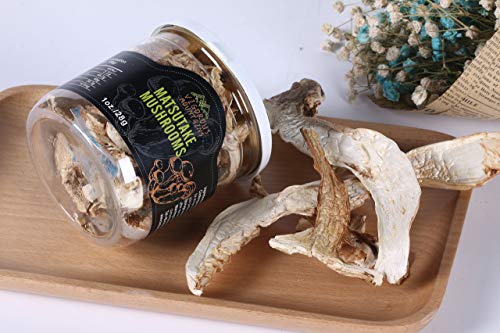 VIGOROUS MOUNTAINS Dried Tricholoma Matsutake Pine Mushrooms Fungus 1 Ounce