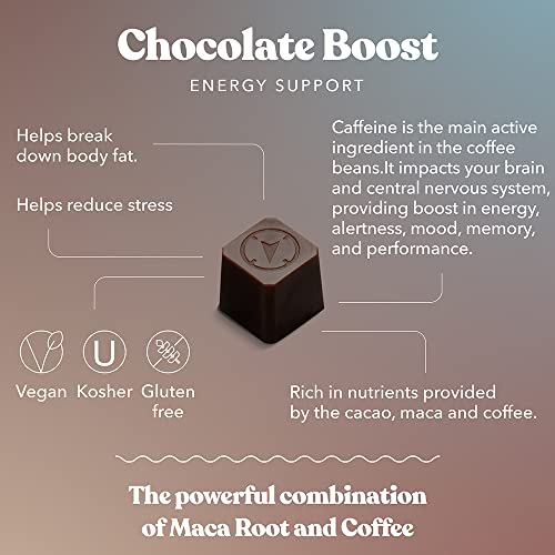 Southeast Chocolates Boost Bites - Sugar-Free Dark Chocolate Bites – Sugar Free with Maca Root Extract and Coffee to Support Physical Endurance and Memory Concentration – Vegan, Dairy-Free. Soy-Free and All Natural (Small Tin 6 Pack/9 Bites ea.)