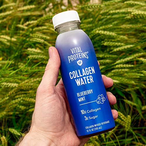 Vital Proteins Collagen Water™, 10g of Collagen per Bottle & Made with Real Fruit Juice, Dairy & Gluten Free - Blueberry Mint, 4 Pack