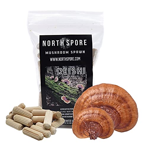 North Spore Reishi Mushroom Plugs, Lucidum Species, 100 Count Premium Quality Mushroom Plug Spawn, Made in USA, Grow Mushrooms on Logs, Gourmet Mushrooms for Tea & Tinctures, Medicinal Mushrooms