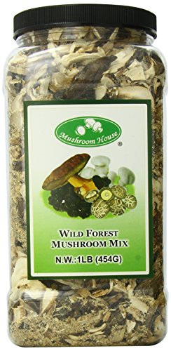 Mushroom House Premium Dried Mushroom Forest Blend, 1 Pound