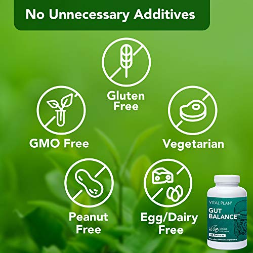 Vital Plan Gut Balance Supplement by Dr. Bill Rawls - Advanced Digestive Health Support Formula w/ Clinical-Grade Slippery Elm Bark, Berberine & Dandelion Extract for Women & Men (180 Capsules)