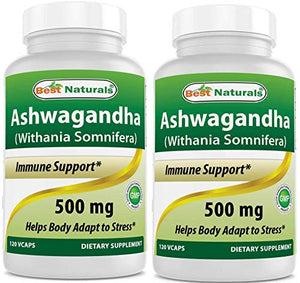 Best Naturals Ashwagandha Extract 500 Mg 120 Capsules (Pack of 2)