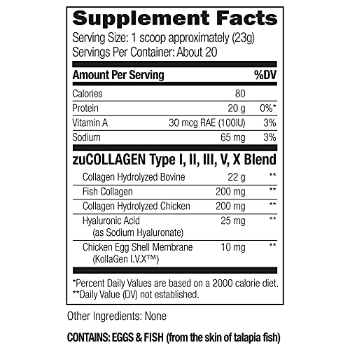 UMZU zuCollagen Protein - Multi Collagen Protein Powder, Daily Supplement to Improve Skin, Hair, Joints, and Muscle Recovery - Non-GMO, Unflavored, 20 Servings