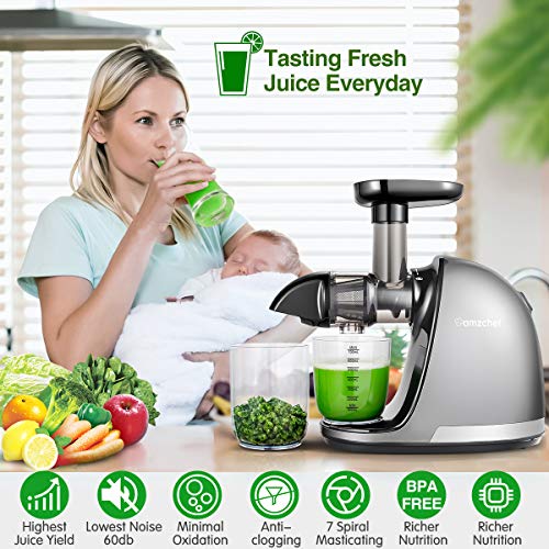 Slow Masticating Juicer, AMZCHEF Slow Juicer Extractor Professional Machine, Cold Press Juicer with Quiet Motor/Reverse Function, Juicer Machines with Brush, for High Nutrient Fruit & Vegetable Juice
