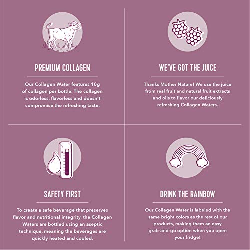 Vital Proteins Collagen Water™, 10g of Collagen per Bottle & Made with Real Fruit Juice, Dairy & Gluten Free - BlackBerry Hibiscus, 4 Pack