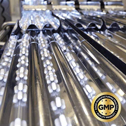 Swanson Lung Essentials 500 mg 120 Veg Caps 2 Pack