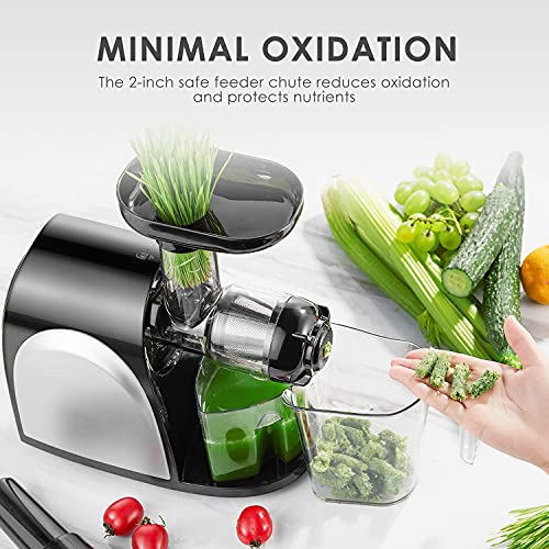 Slow Masticating Juicer, Cold Press Juicer Machine Easy to Clean, Higher Juicer Yield and Drier Pulp, Juice Extractor with Quiet Motor and Reverse Function, BPA-Free, with Recipes