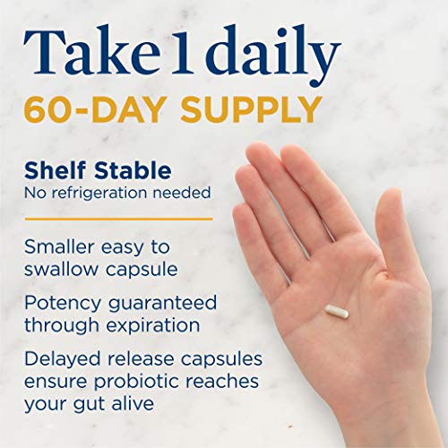 Renew Life Adult Probiotics 30 Billion CFU Guaranteed, 12 Strains, For Men & Women, Shelf Stable, Gluten Dairy & Soy Free, Ultimate Flora Extra Care, 60 Count, Pack of 1