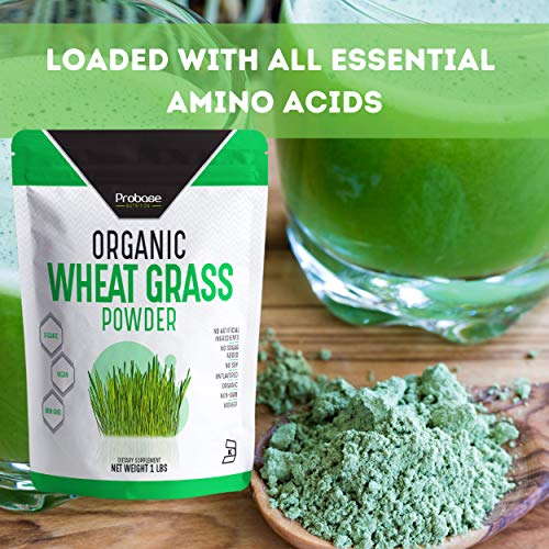 PROBASE NUTRITION Organic Wheatgrass Powder - 1 Pound - Rich in Immune Vitamins, Fibers, Fatty Acids and Minerals - Supports Immune System and Digestion Function - Vegan - Non-GMO - Premium Superfood