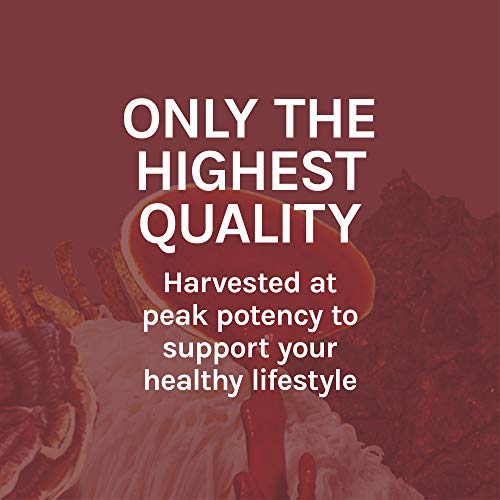 Host Defense, Reishi Capsules, Supports General Wellness and Vitality, Daily Mushroom Mycelium Supplement, USDA Organic, 30 Vegetarian Capsules (15 Servings)