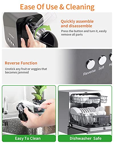 Vegetable and Fruit Masticating Juicers Extractor for Wheatgrass Tomato Leafy Greens Carrots Celery Ginger Beet Roots, Cold Press Slow Juicer Machines with Reverse Function High Juice Yield Easy Clean