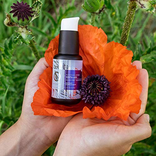 Quicksilver Scientific Nanoemulsified Hista-Aid - Liposomal Vitamin C, Quercetin + Diindolylmethane (DIM) - Flavonoids to Help Maintain Healthy Histamine Levels - Detox + Immune Support (1.7oz / 50ml)