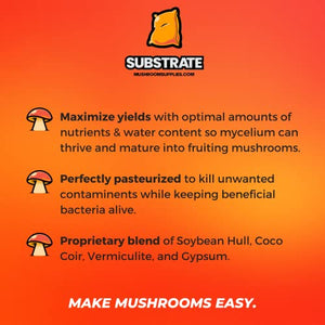 MushroomSupplies.com Mushroom Growing Substrate Bag | Pasteurized Soybean Hull, Vermiculite, Coco Coir & Gypsum | 0.5 Micron Filter Mycobag Grow Kit |Mycology Cultivation Supplies | Monotub Ready