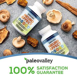 Paleovalley: NeuroEffect - Advanced Wellness and Immune Supplement - 112 Veggie Capsules - Natural Support for Focus, Memory, Stress Relief, and Energy - Flavorless - 8 Organic Mushroom Blend