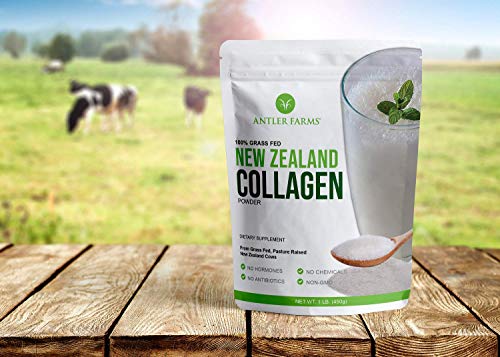 Antler Farms - 100% Pure New Zealand Collagen Powder from Grass Fed Cows, Unflavored, 1 lb - Hydrolyzed Cold Water Soluble Peptides, Keto Friendly, Bioavailable, Quick Dissolving