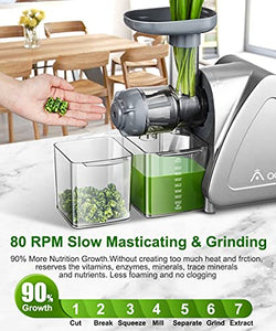 Aobosi Slow Masticating Juicer Machine, Cold Press juicer Extractor, Quiet Motor, Reverse Function, High Nutrient Fruit and Vegetable Juice with Juice Jug & Brush for Cleaning, Gray