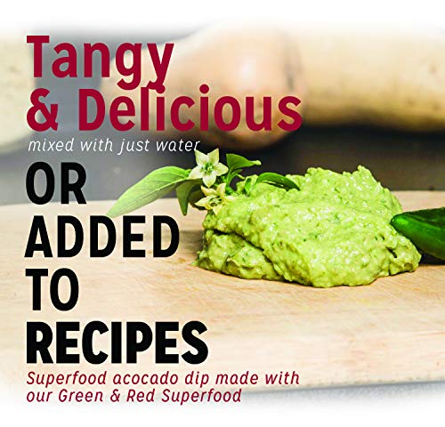 Vegan Green & Red Alkalizing Superfood by fitppl | Organic Ingredients Camu, Chlorella, Spirullina, Moringa for Immune Support | Eco-friendly, Stevia & Gluten Free Keto-Friendly Supplement 20 Servings