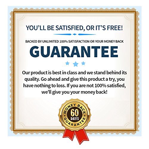 Rejuva Brain- Advanced Cognitive Support- Enriched w/L-Glutamine & Bacopa Monnieri to Support Cognitive Health and Ability