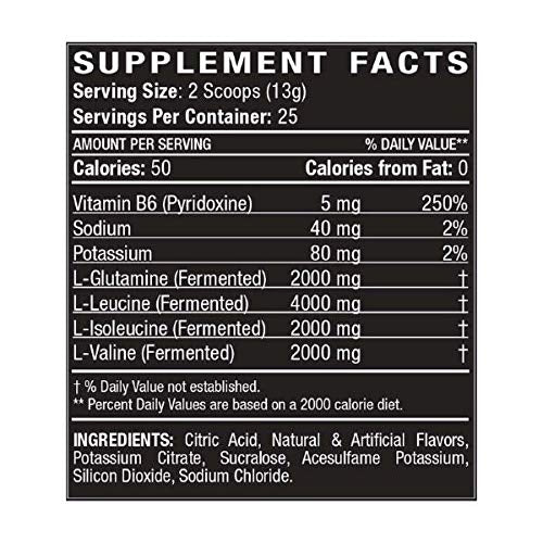 Titan BCAA+ Powder - Branched-Chain Amino Acid + Glutamine - Build Lean Muscle, Increase Muscle Mass, Aid Recovery - BCAA Ratio 2:1:1 - No Gluten, Low-Carb - Vegan - 50 Servings - Smashed Grape