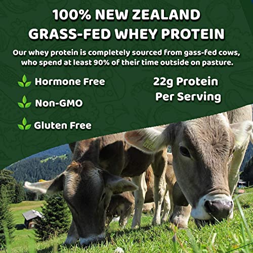 Vanilla Whey Protein Powder - Grass Fed Whey Isolate + Real Sugar & Vanilla Flavor - Perfect for Shakes, Smoothies, Drinks, Cooking & Baking - Non GMO & Gluten Free - 5 lb