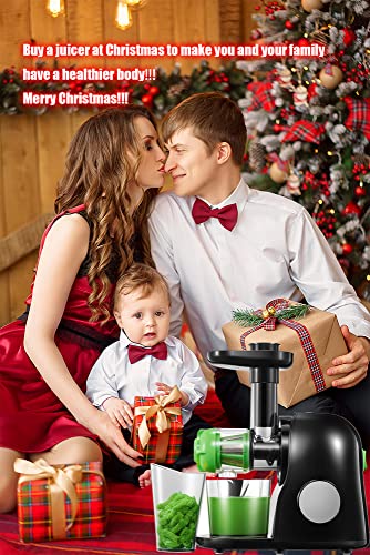 Slow Masticating Juicer Extractor Professional Machine, Cold Press Juicer with Quiet Motor and Reverse Function, High Nutrient Fruit and Vegetable Juice with Juice Jug & Brush for Cleaning