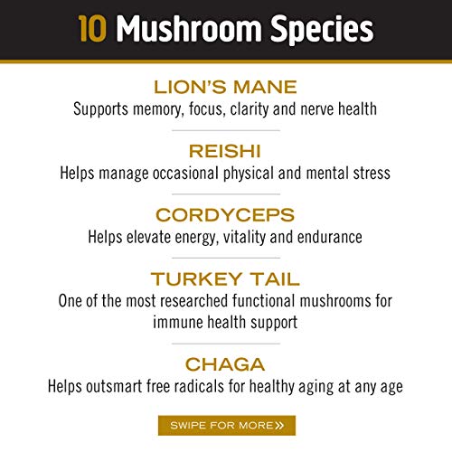 Om Mushroom Superfood Master Blend Mushroom Powder Supplement, 3.2 Ounce, 34 Servings, 10 Mushroom Complex, Lions Mane, Chaga, Cordyceps, Reishi Extract Adaptogens for Vibrant Health, Immune Support