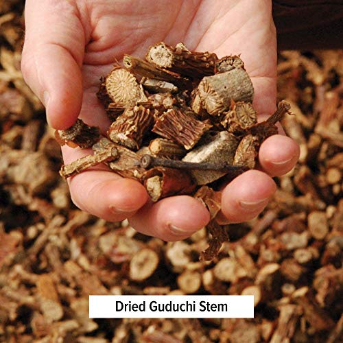 Banyan Botanicals Guduchi Stem Powder - USDA Organic, 1/2 Pound - Rejuvenating Herb for Digestion, Complexion, and Vitality*