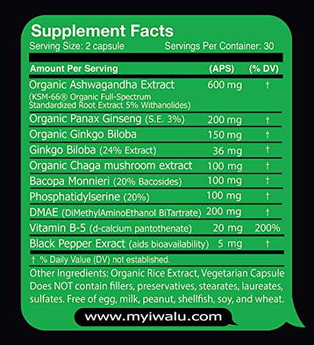 Brain Supplement: Best Energy Boost Supplement Ashwagandha Nerve Tonic Mood Enhancer Supplements for Women and Men Mental Focus Supplements Organic Ginseng Extract, Ashwaghanda Organic, 120ct 2 Pack