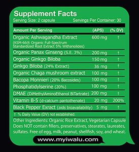 Brain Supplement: Best Energy Boost Supplement Ashwagandha Nerve Tonic Mood Enhancer Supplements for Women and Men Mental Focus Supplements Organic Ginseng Extract, Ashwaghanda Organic, 120ct 2 Pack