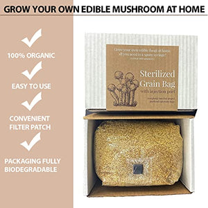 Sterilized Grain Bag with Injection Port - Fast Colonization, Robust Mycelium Growth - Grow Your Own Edible Mushroom at Home - 3(lbs)