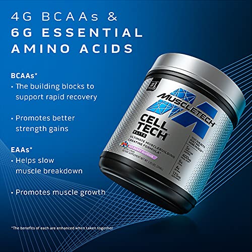Creatine Powder | MuscleTech Cell-Tech Elite Creatine Powder | Post Workout Recovery Drink | Muscle Builder for Men & Women | Creatine HCl Supplement | ICY Berry Slushie (20 Servings)