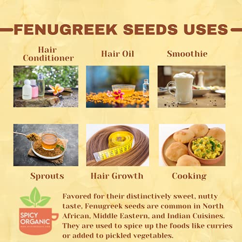 SPICY ORGANIC Fenugreek Seeds - Freshly Packed Methi Seeds - Fenugreek Seeds for Hair Growth - 100% Pure USDA Organic - 16 OZ