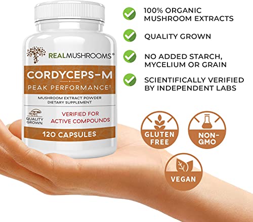 Real Mushrooms Cordyceps Peak Performance Supplement for Energy, Stamina, Endurance (120ct) Non-GMO, Vegan Cordyceps Mushroom (60 Day Supply)