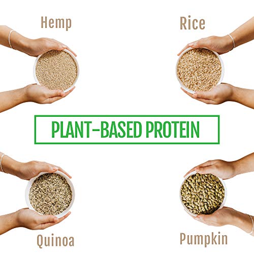 Detox Organics Plant Based Protein Powder, Creamy Vanilla - Vegan, Low Carb, Non Dairy, Gluten Free, Lactose Free, No Sugar Added, Non-GMO - Made with Hemp, Brown Rice, Pumpkin, and Quinoa